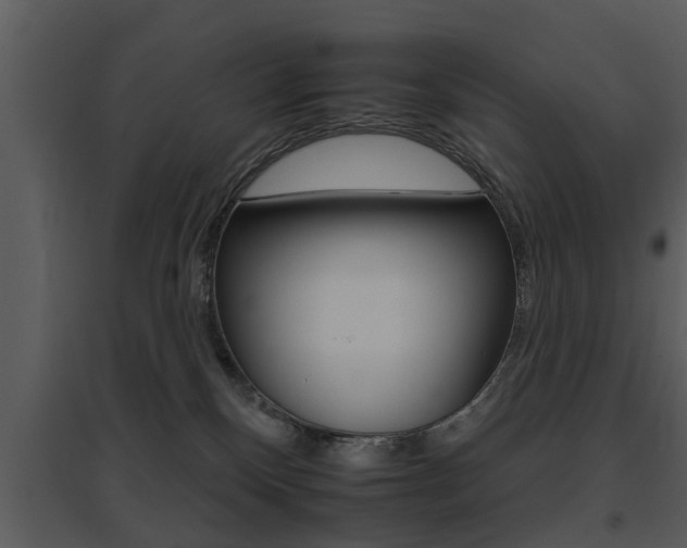 X0000095670136200801081048