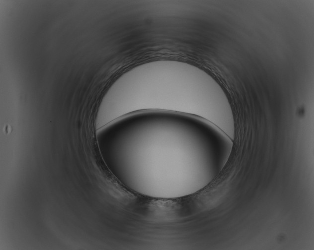 X0000095670137200801081048