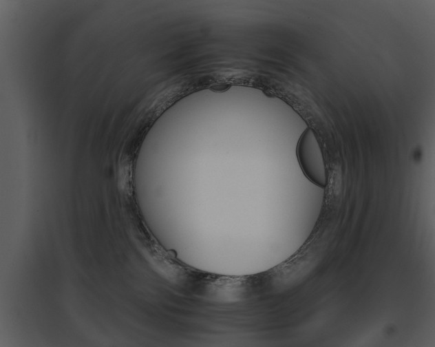 X0000095670138200801081048