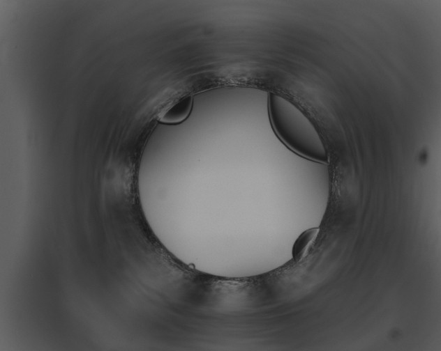 X0000095670139200801081048