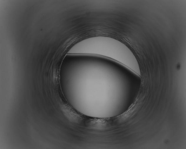 X0000095670140200801081048