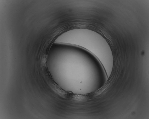 X0000095670141200801081048