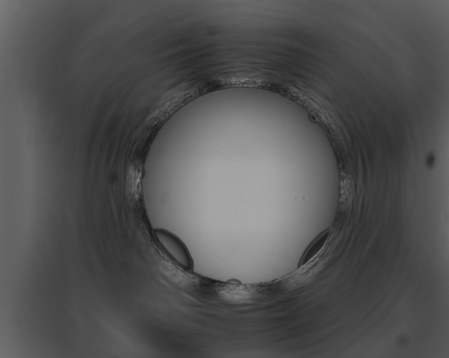 X0000095670142200801081048