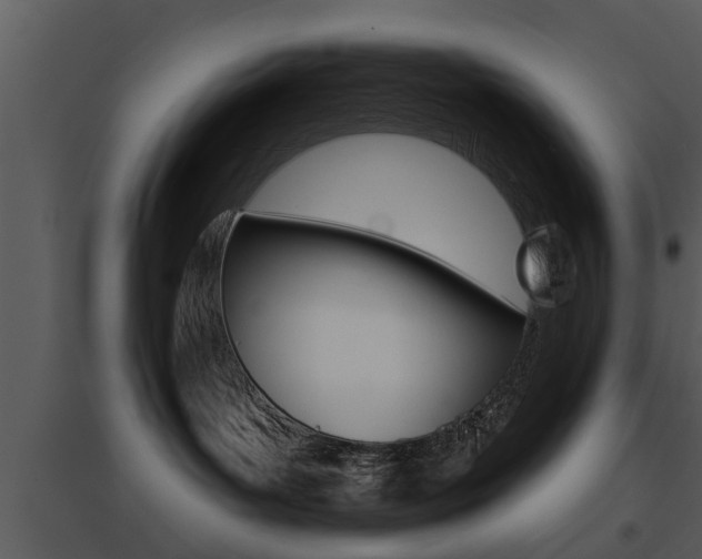 X0000095670143200801081048