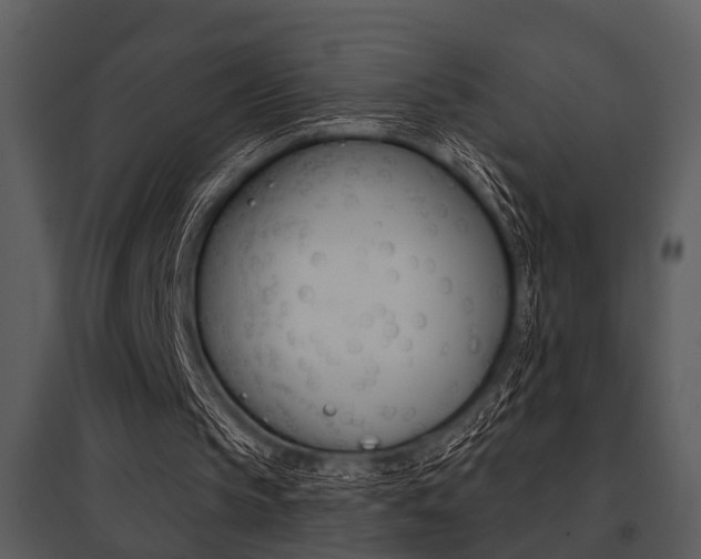 X0000095670145200801081047
