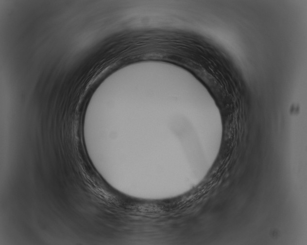 X0000095670146200801081047