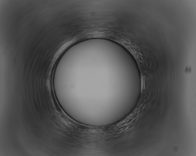 X0000095670147200801081047