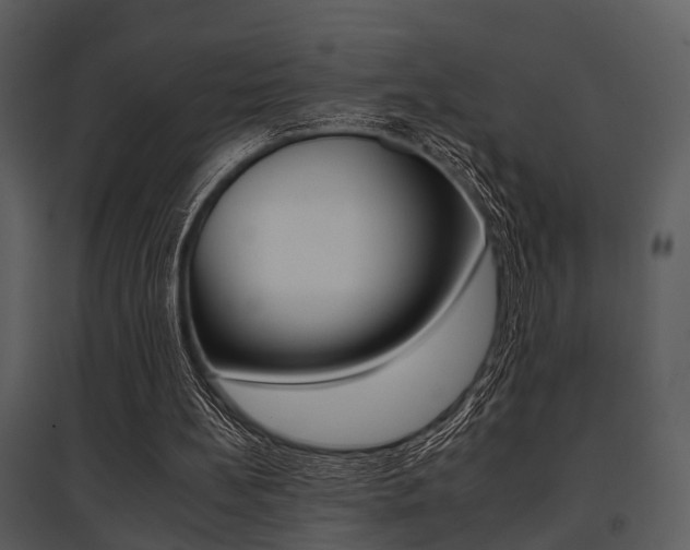 X0000095670148200801081047
