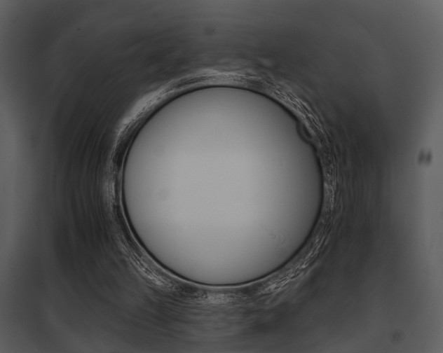 X0000095670149200801081047