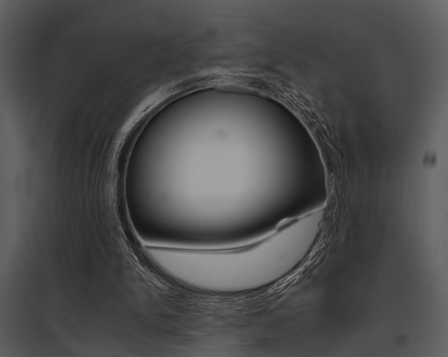 X0000095670150200801081047