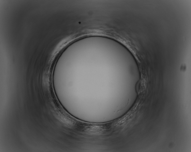 X0000095670151200801081047