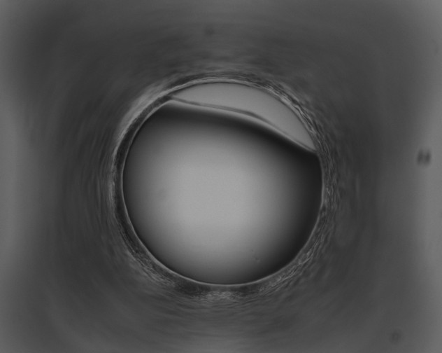 X0000095670152200801081047