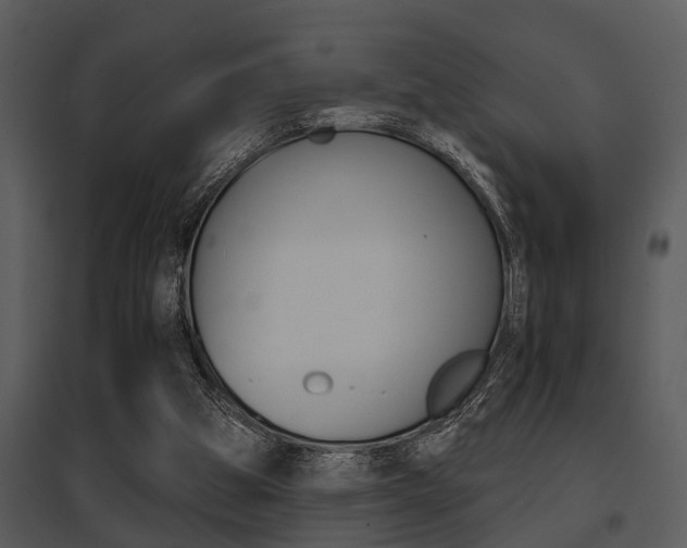 X0000095670153200801081047