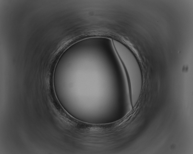 X0000095670154200801081047