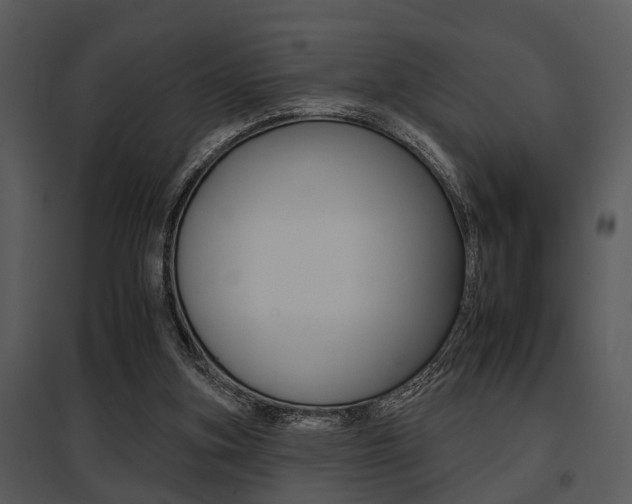 X0000095670155200801081047