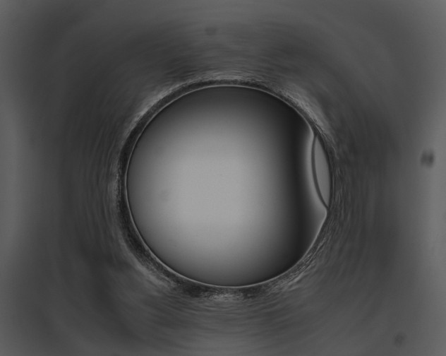 X0000095670156200801081047