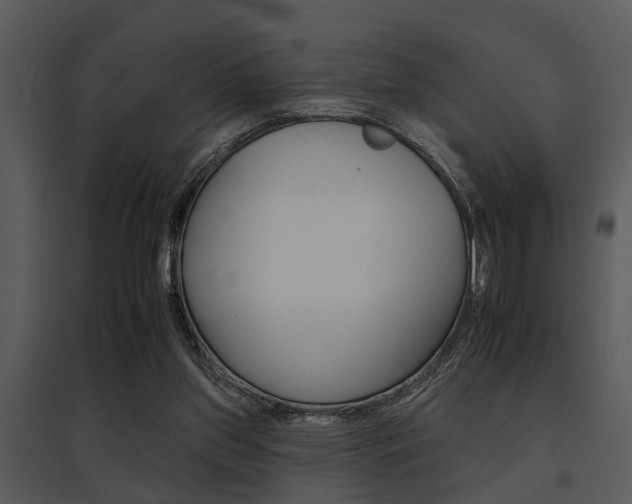 X0000095670157200801081048