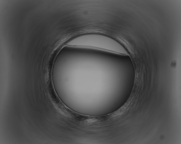 X0000095670158200801081048