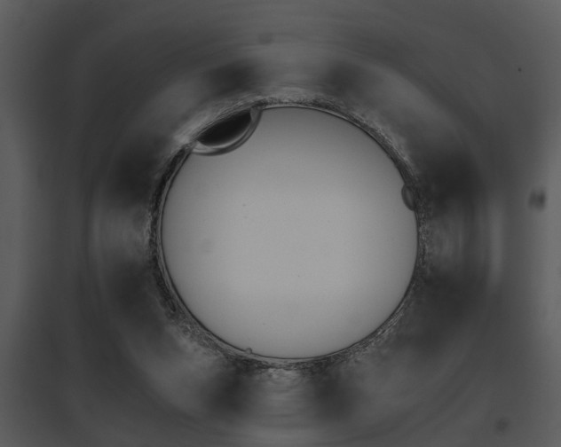 X0000095670159200801081048