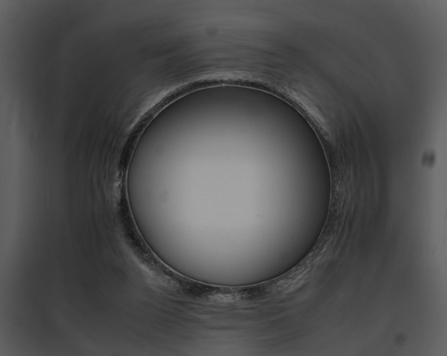 X0000095670160200801081048