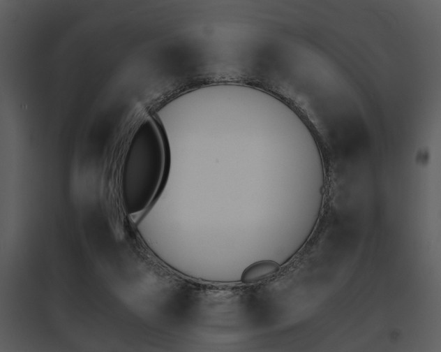 X0000095670161200801081048