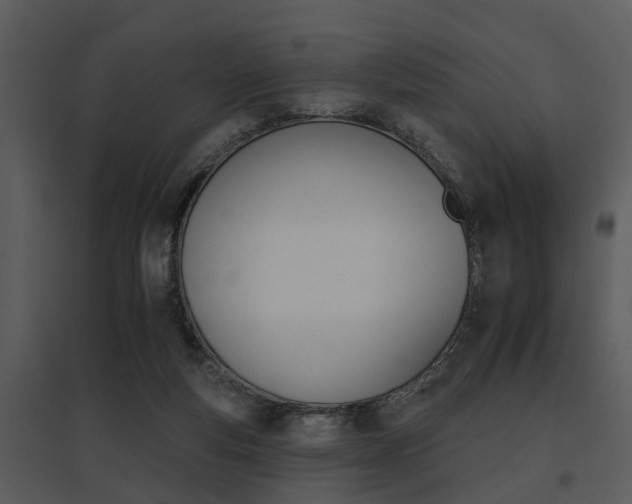 X0000095670163200801081048