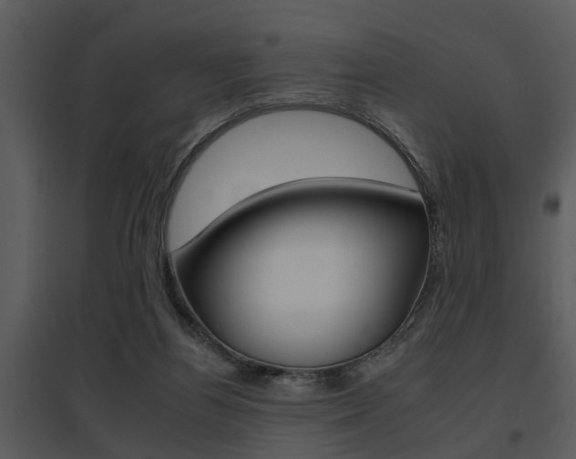 X0000095670164200801081048