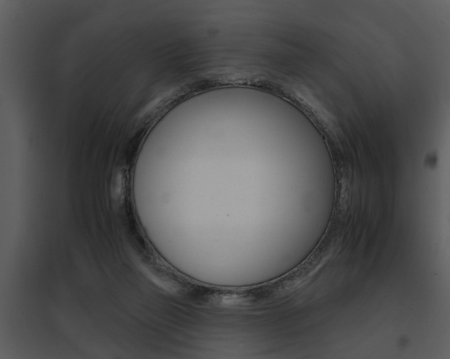 X0000095670165200801081048