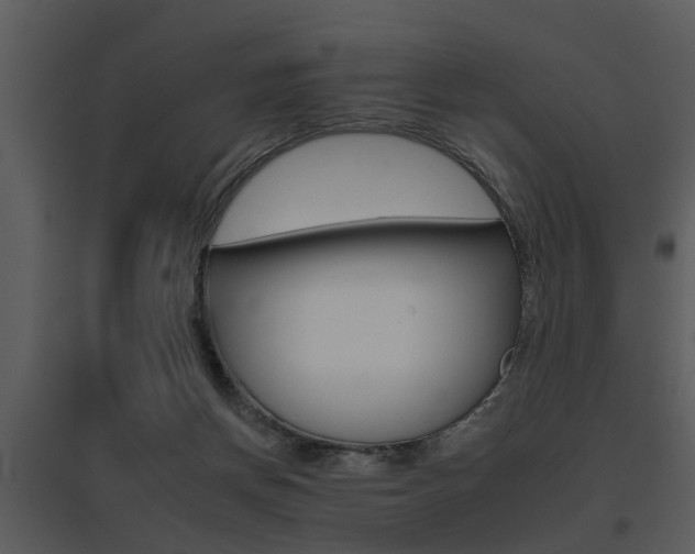 X0000095670166200801081048