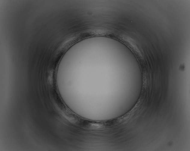 X0000095670167200801081048