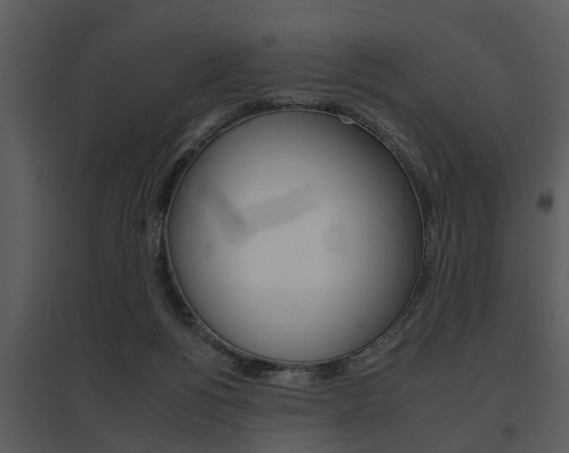 X0000095670168200801081048