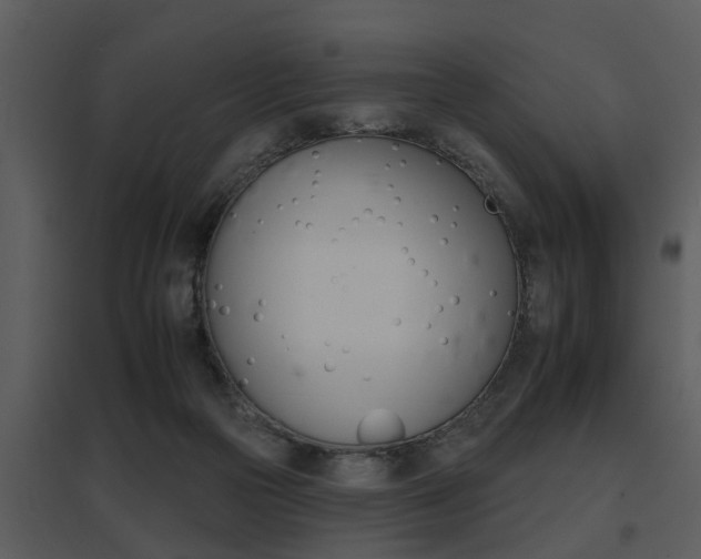 X0000095670169200801081048