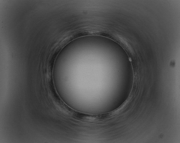 X0000095670170200801081048