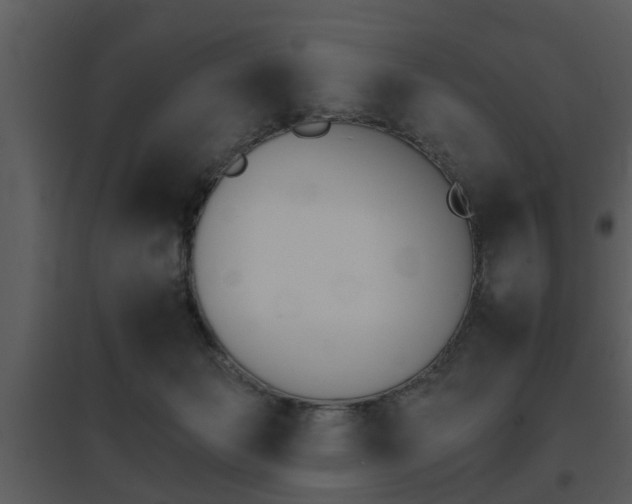 X0000095670173200801081048