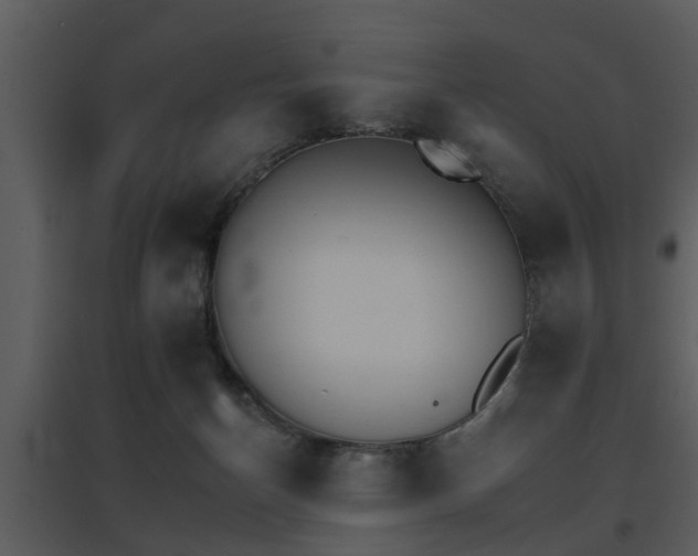 X0000095670174200801081048