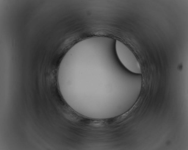 X0000095670175200801081048