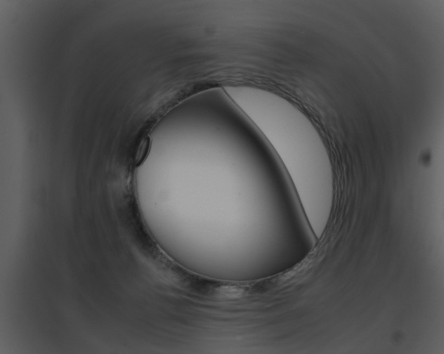 X0000095670176200801081048