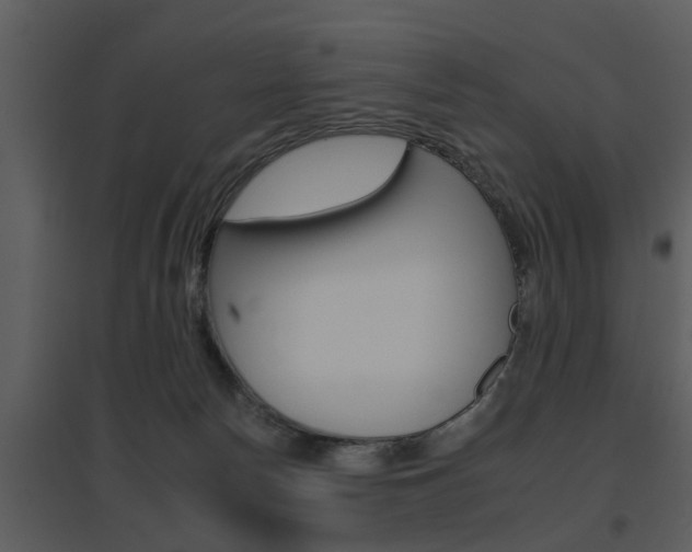 X0000095670178200801081048