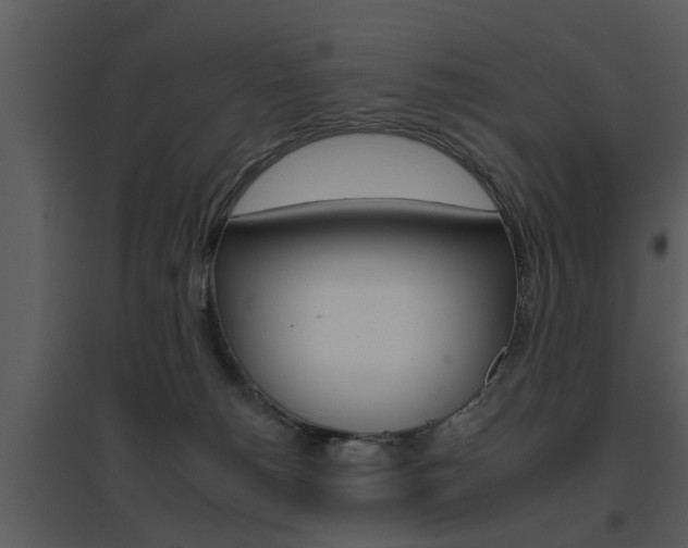 X0000095670180200801081048