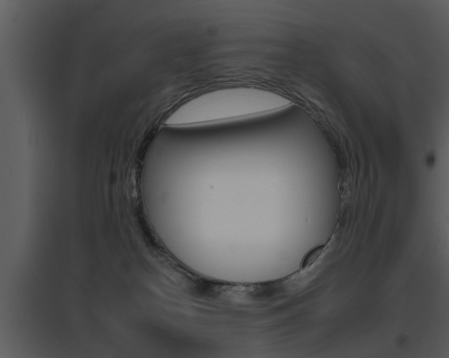 X0000095670182200801081048