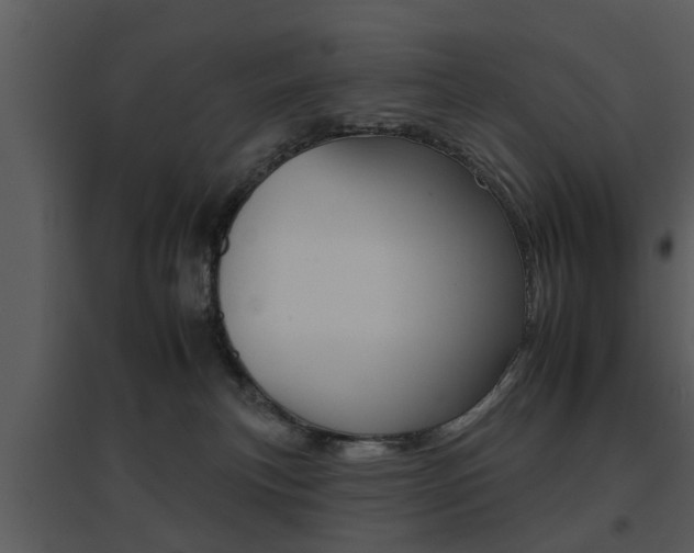 X0000095670183200801081048