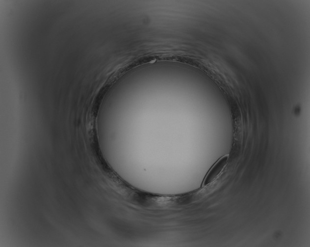 X0000095670184200801081048
