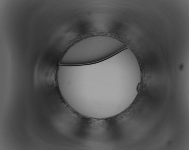 X0000095670185200801081048