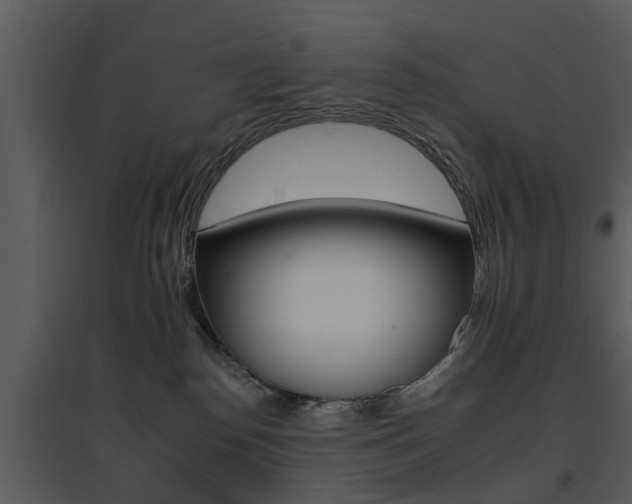 X0000095670186200801081048