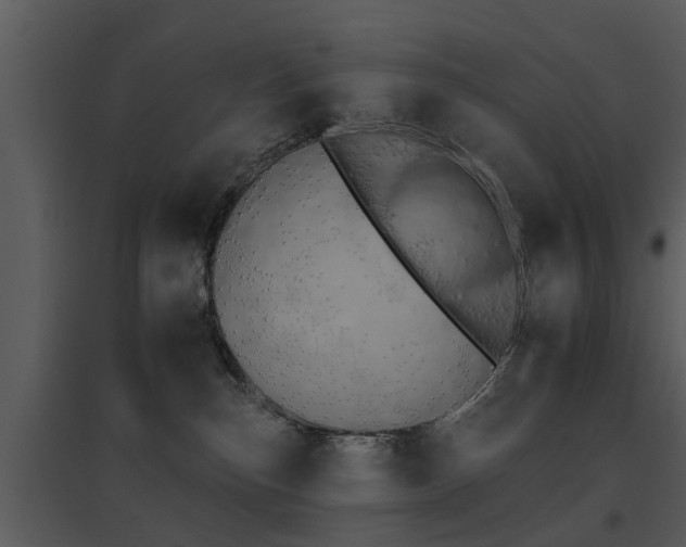 X0000095670187200801081048