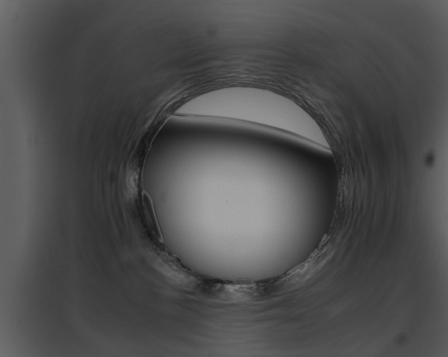 X0000095670188200801081048