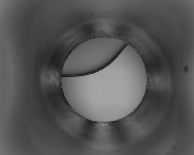 X0000095670189200801081048