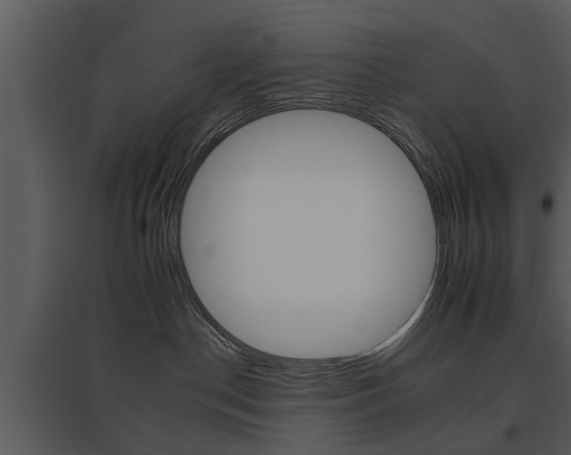 X0000095670190200801081048