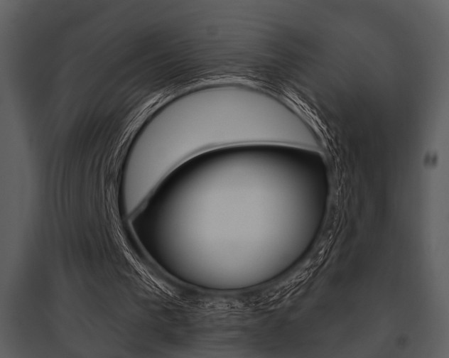 X0000095670193200801081047
