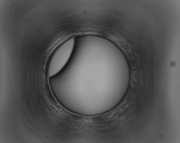 X0000095670194200801081047